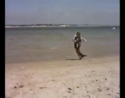 FKOP7F3.gif