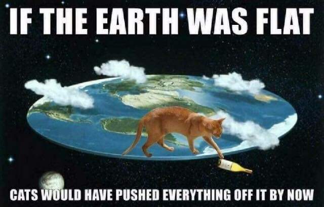flat earth cat.jpg