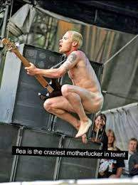 Flea.jpg