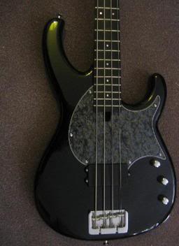 flea005.jpg
