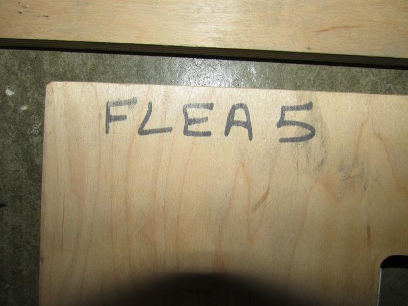 Flea5closeup_zps215acd6d.jpg