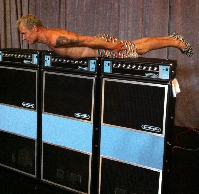 Flea_full.jpg