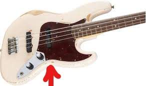flea_LI.jpg