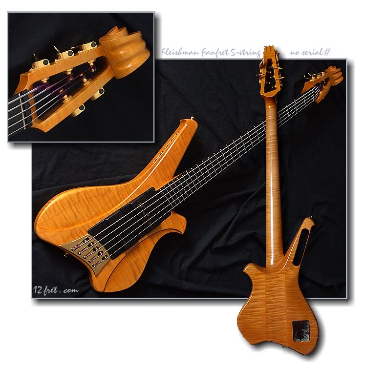 Fleishman5string.jpg