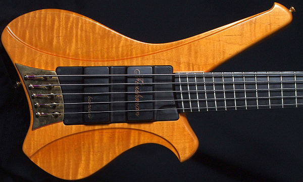 Fleishman5stringFr.png