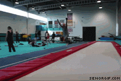 flip.gif