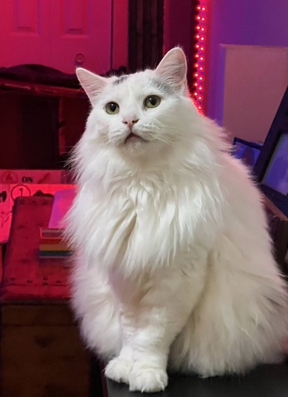 Floof.jpg