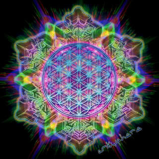 flower_of_life.jpg