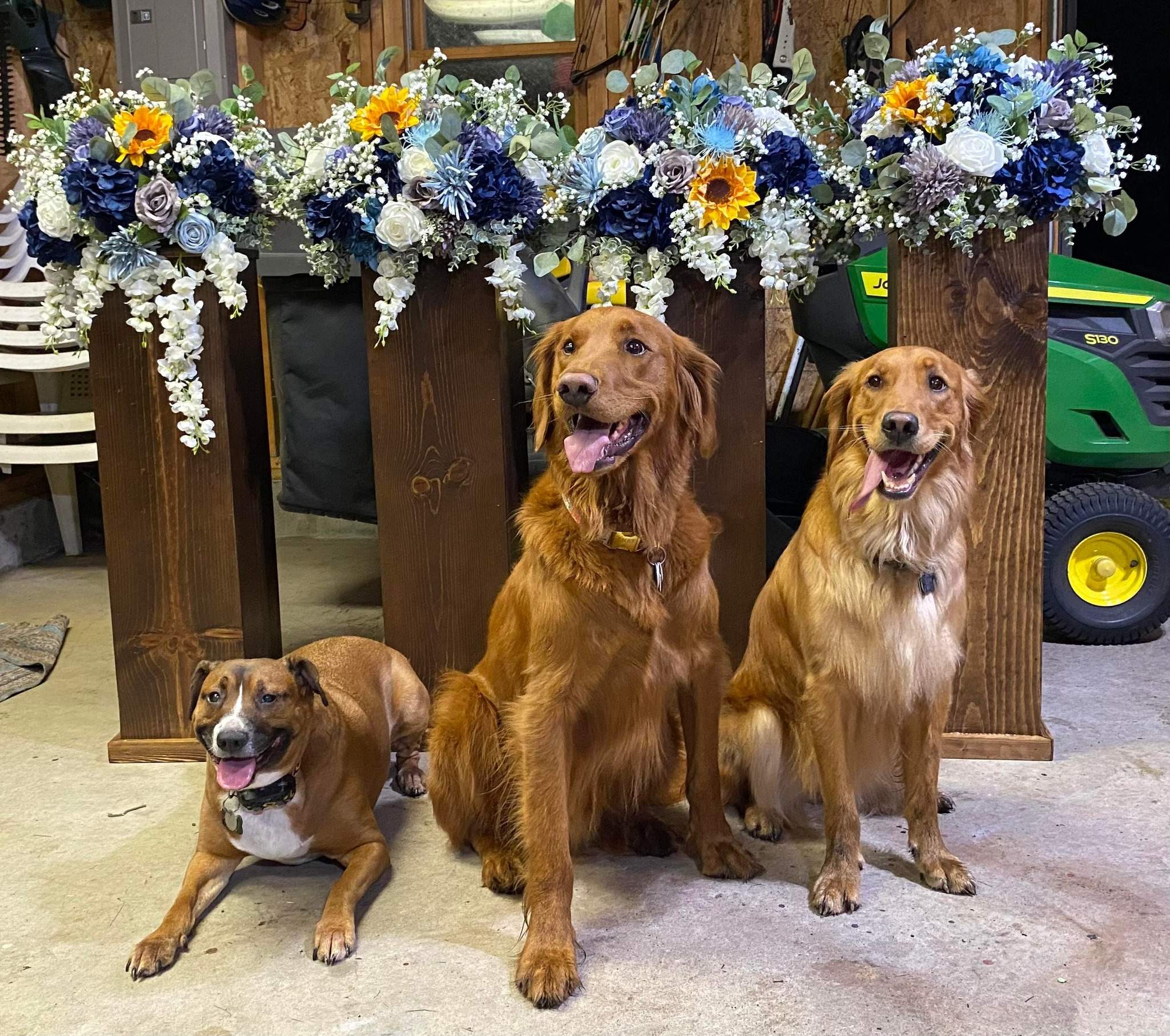 flowers pups.jpg