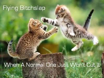 FlyingBitchslap.jpg