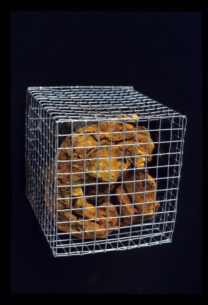 FoamMesh_01.jpg