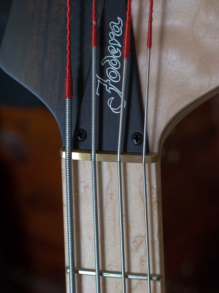 Fodera-3.jpg