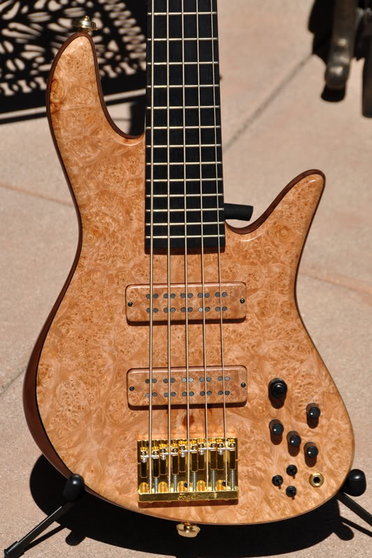 Fodera-Body-01-web.jpg