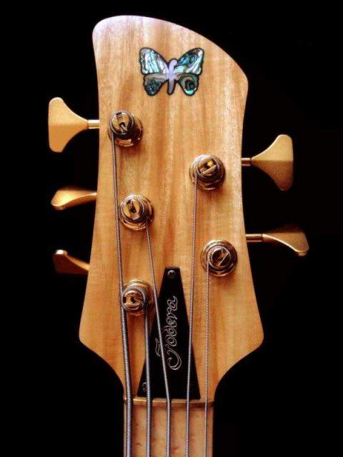 Fodera Headstock.jpg