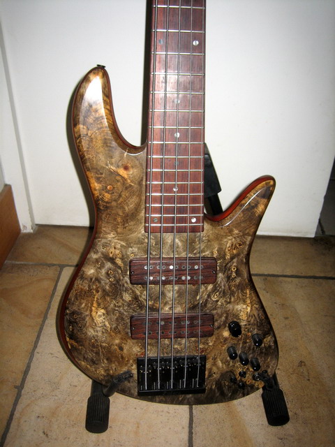 FODERA.jpg