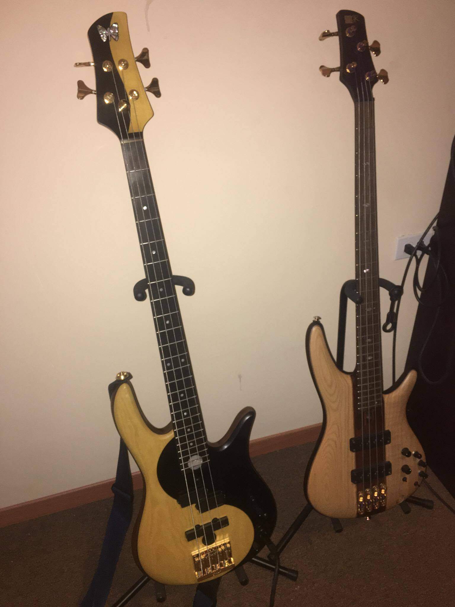 fodera n ibanez 2.jpg