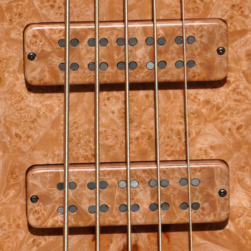 Fodera-Pickups-web-01.jpg