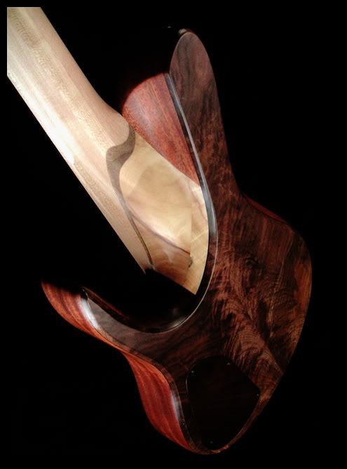 fodera_impwal5_carving.jpg
