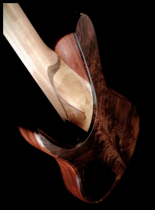 fodera_impwal5_carving.jpg