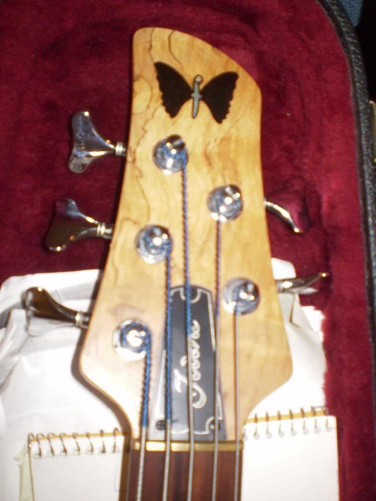 foderabeechwood2.jpg