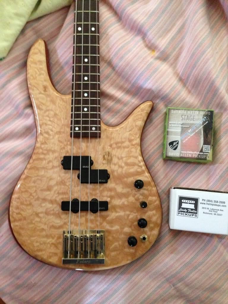 Foderawithpickups.jpg