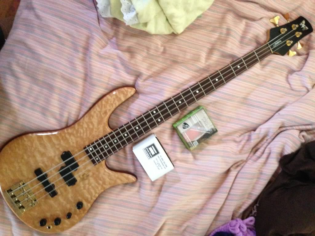 Foderawithpickups2.jpg