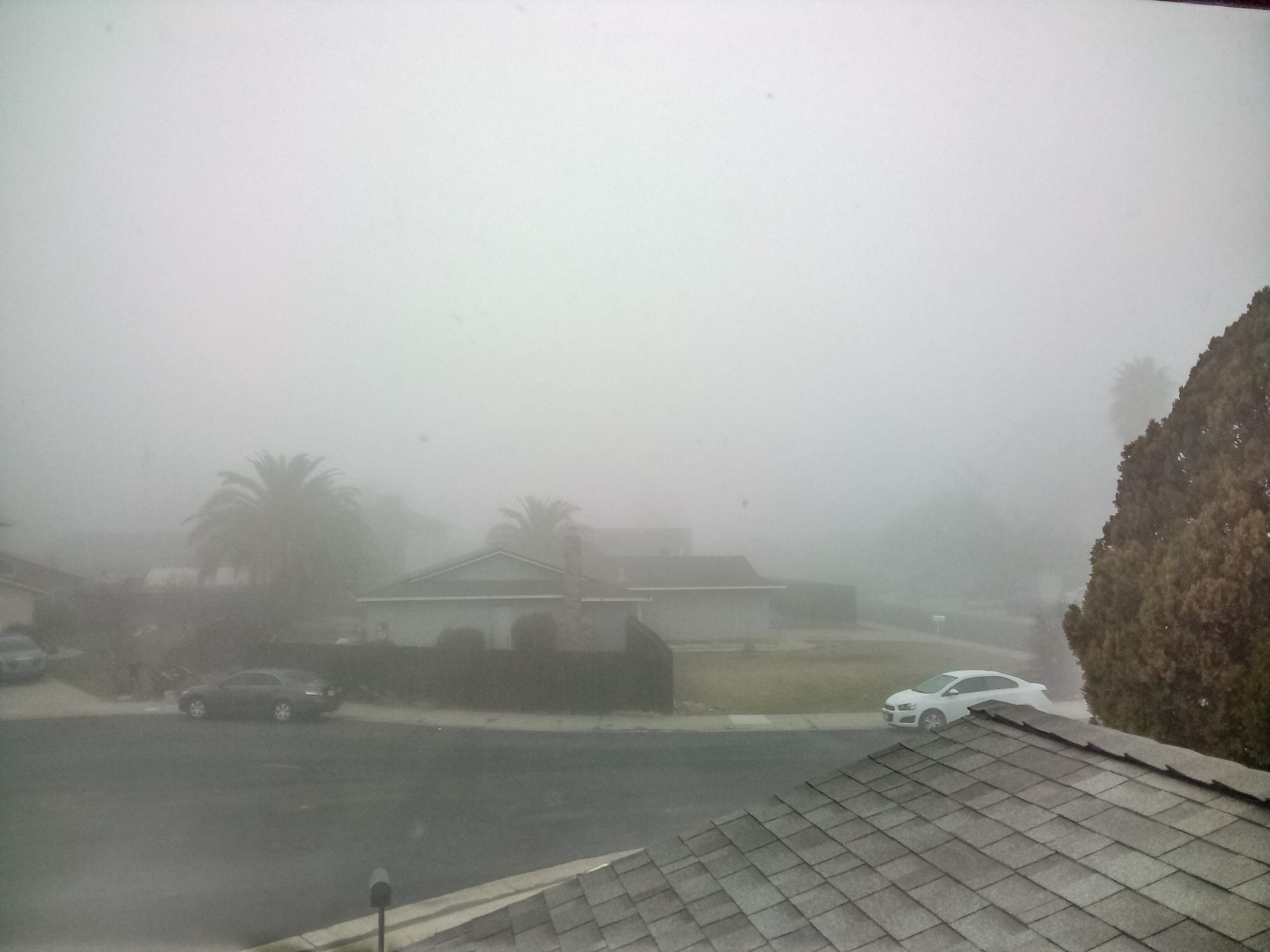 Fog - 12-18-2002.jpg