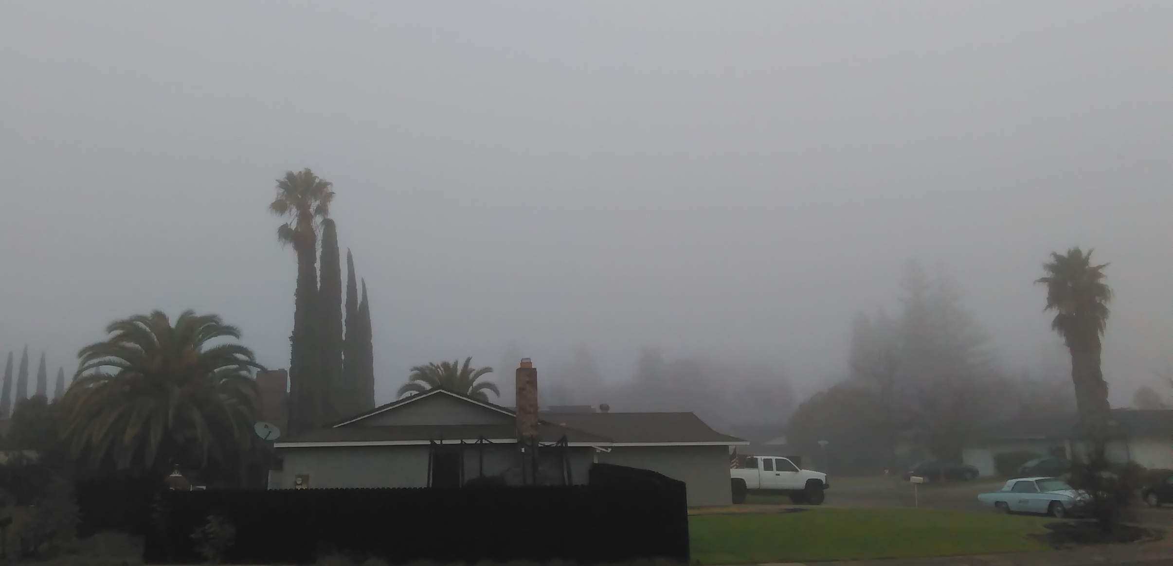 Fog 2 - 1-17-2020.jpg