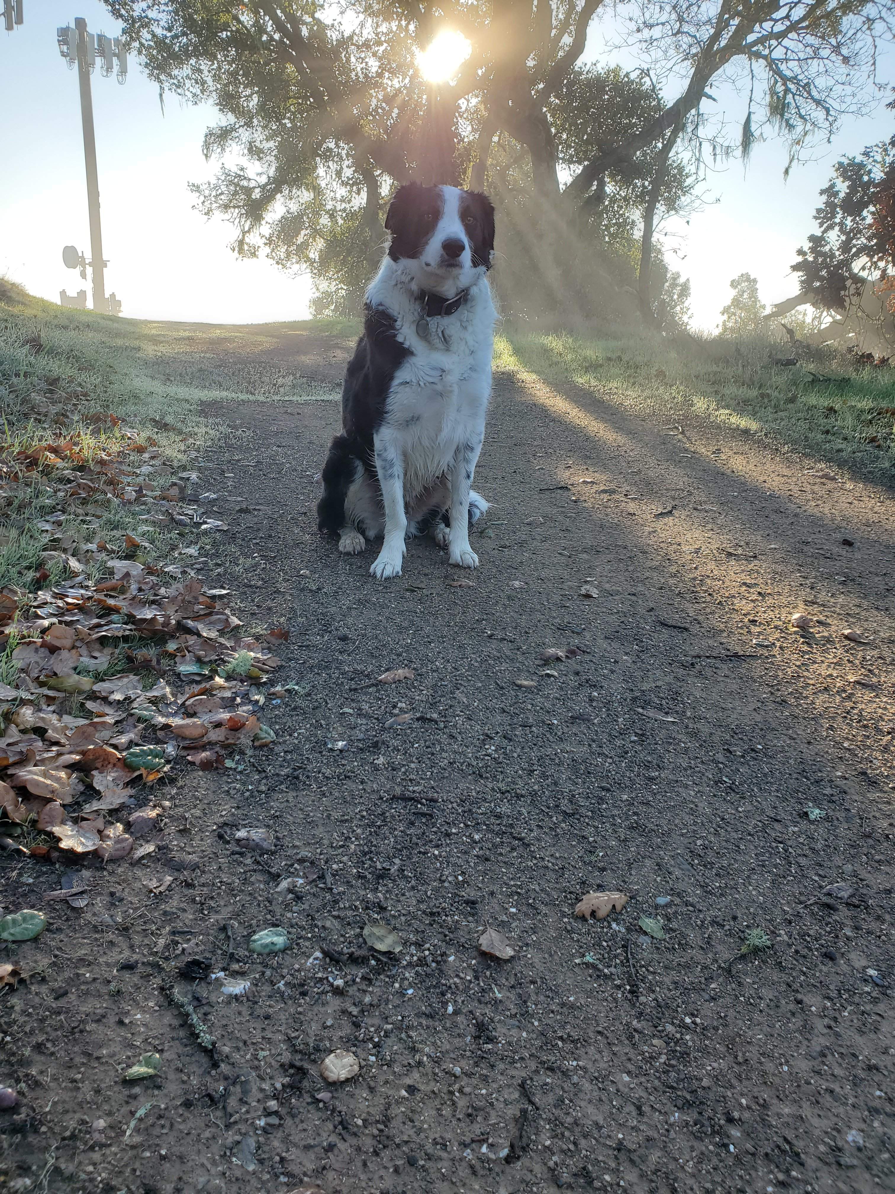 Follow me.jpg