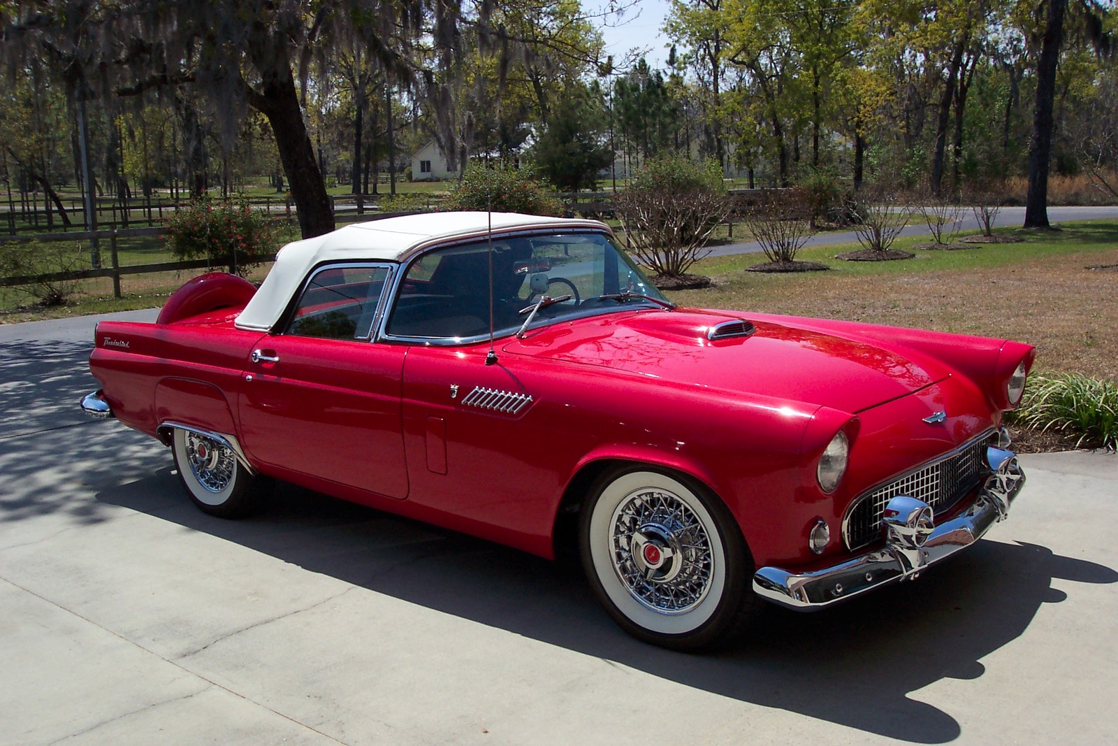 ford-thunderbird-1956-2.jpg