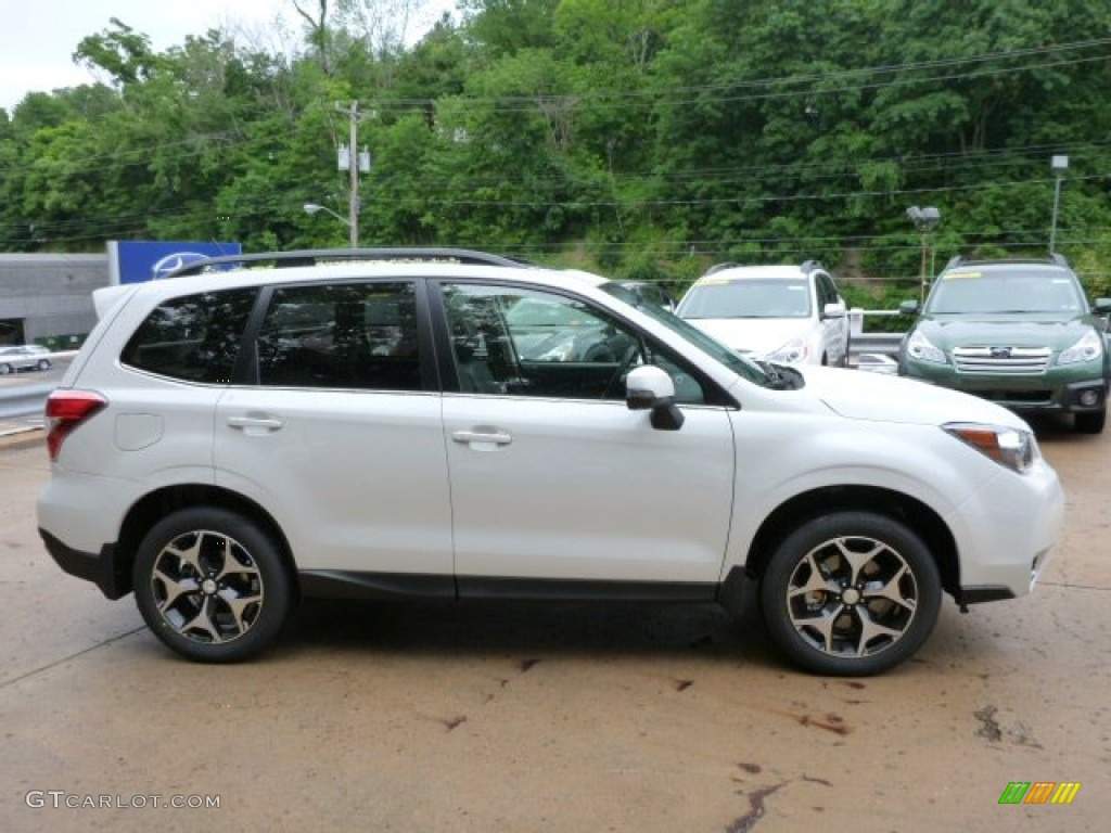 forester.jpg