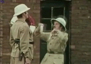 ?format=300w.gif