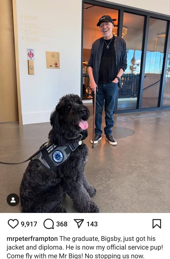 Frampton dog.jpg