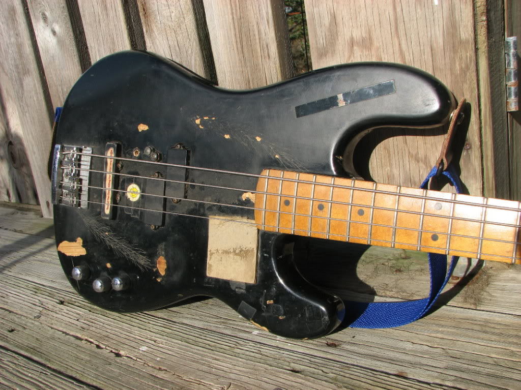 frankenbody1.jpg