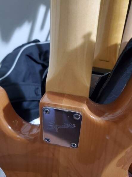 Frankenfender back.jpg