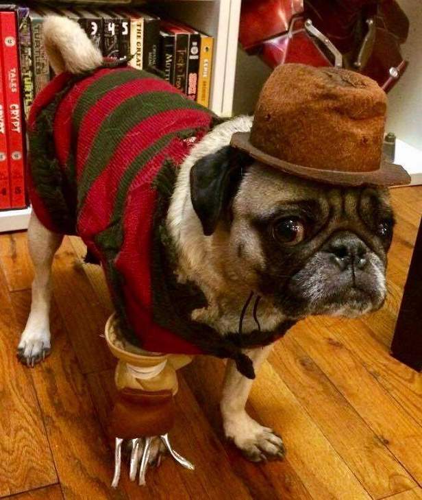 Freddy Pugger.jpg