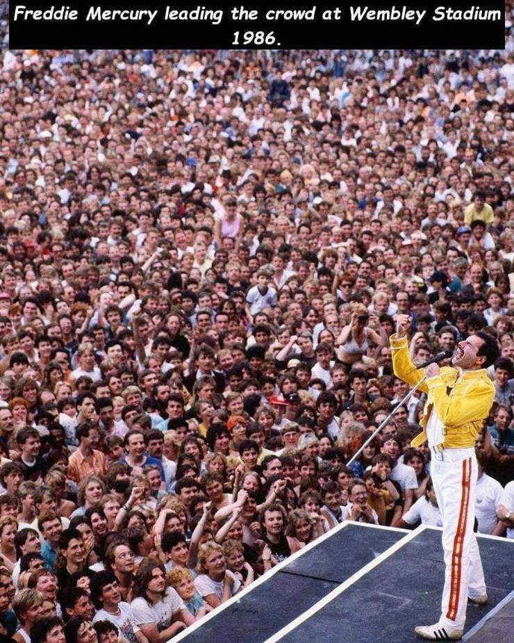 Freddy Sings at Wembly.jpg