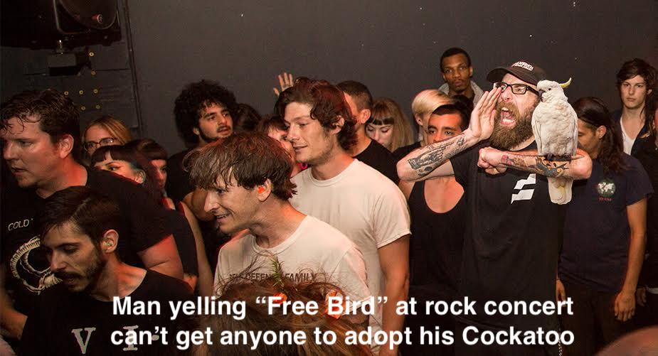 FreeBird.png