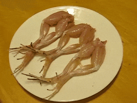 FrequentInsidiousBactrian-small.gif