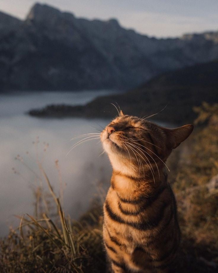 Fresh Air.jpg