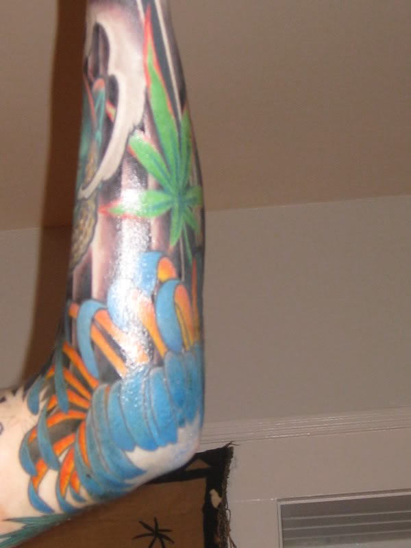 freshtat1.jpg