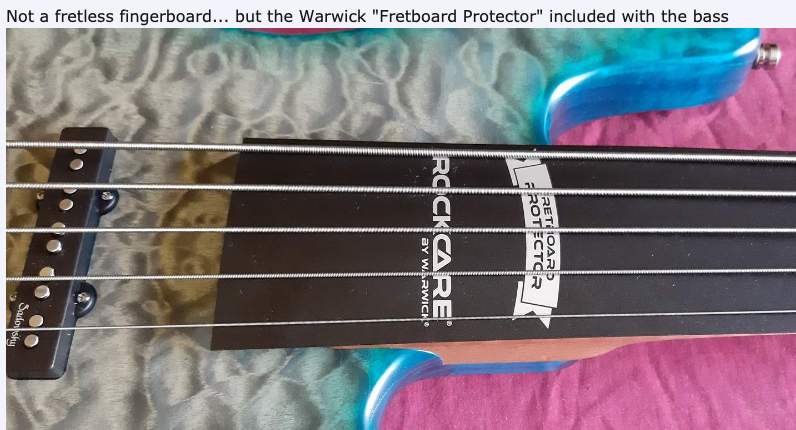 Fretboard protector.jpg