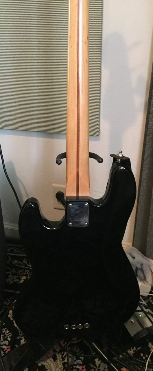 fretless - 4.jpg