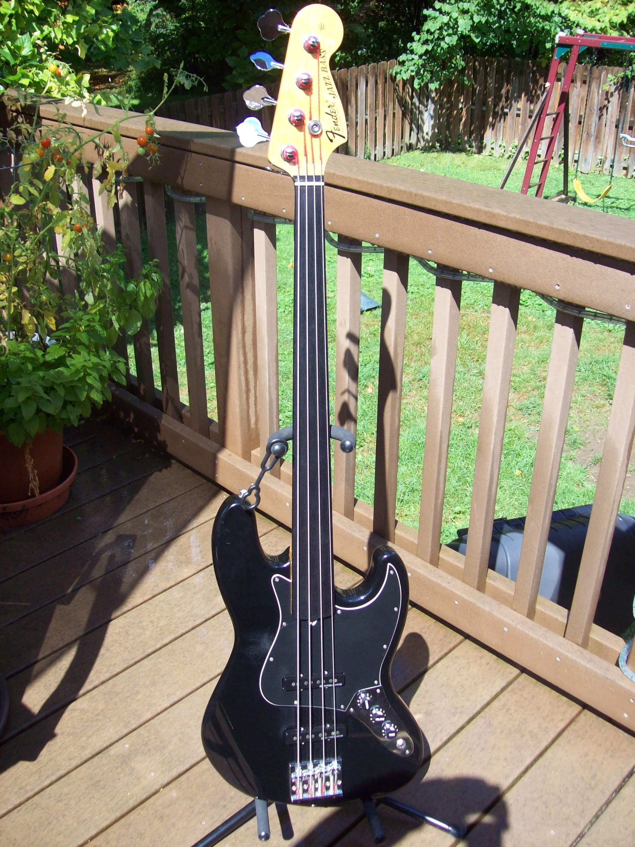 fretless bass 1.jpg