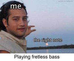 fretless bass.jpg