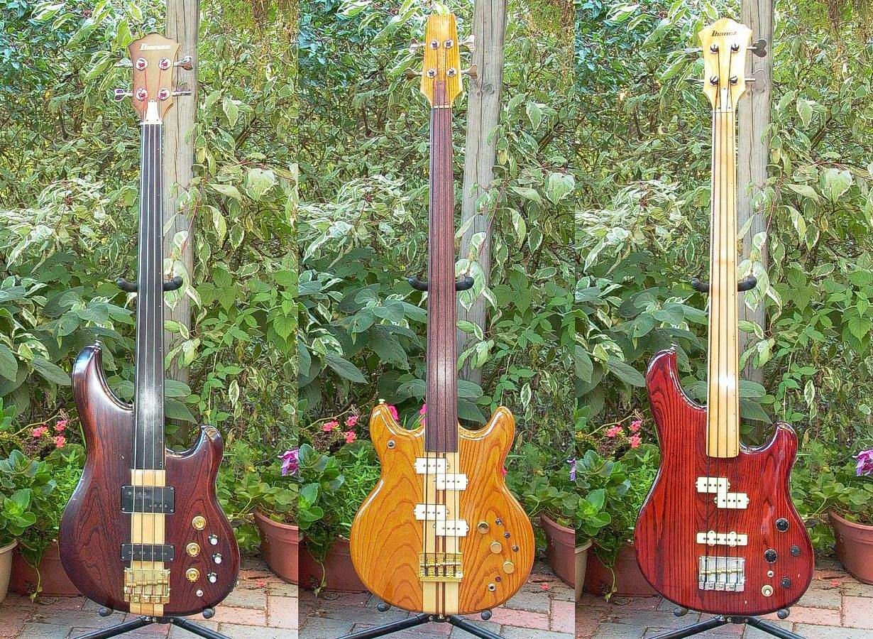 Fretless.jpg