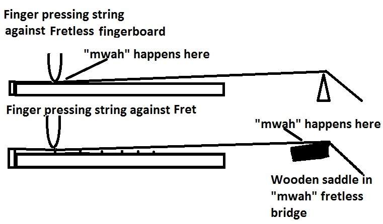 Fretless.jpg