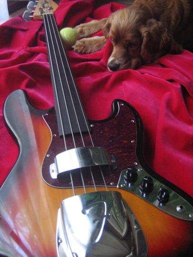 Fretless Mu.jpg