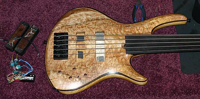 FRETLESS-PRE-BART.jpg