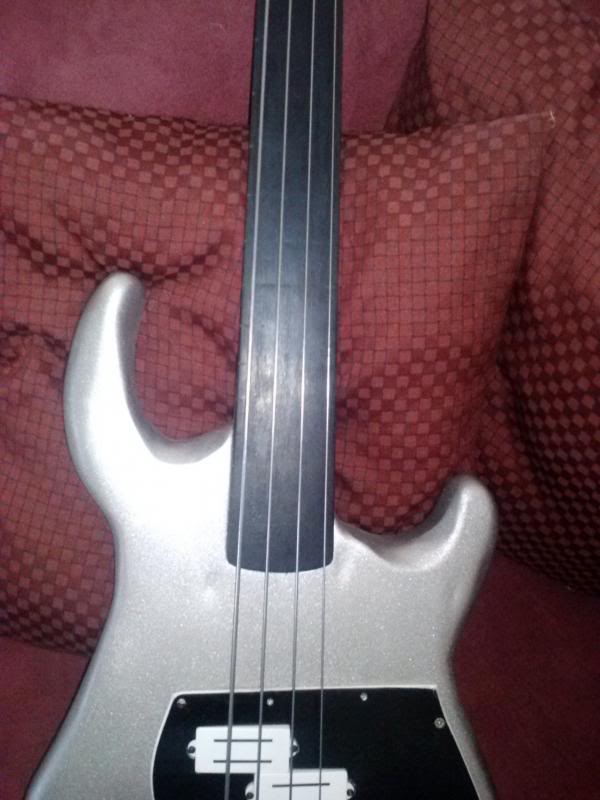 fretless003.jpg
